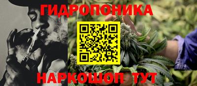 PSILOCYBIN Краснознаменск